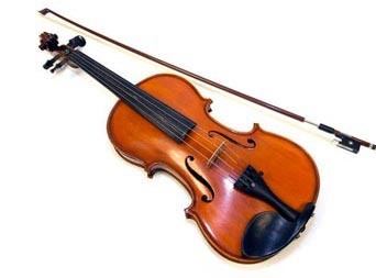 vioin